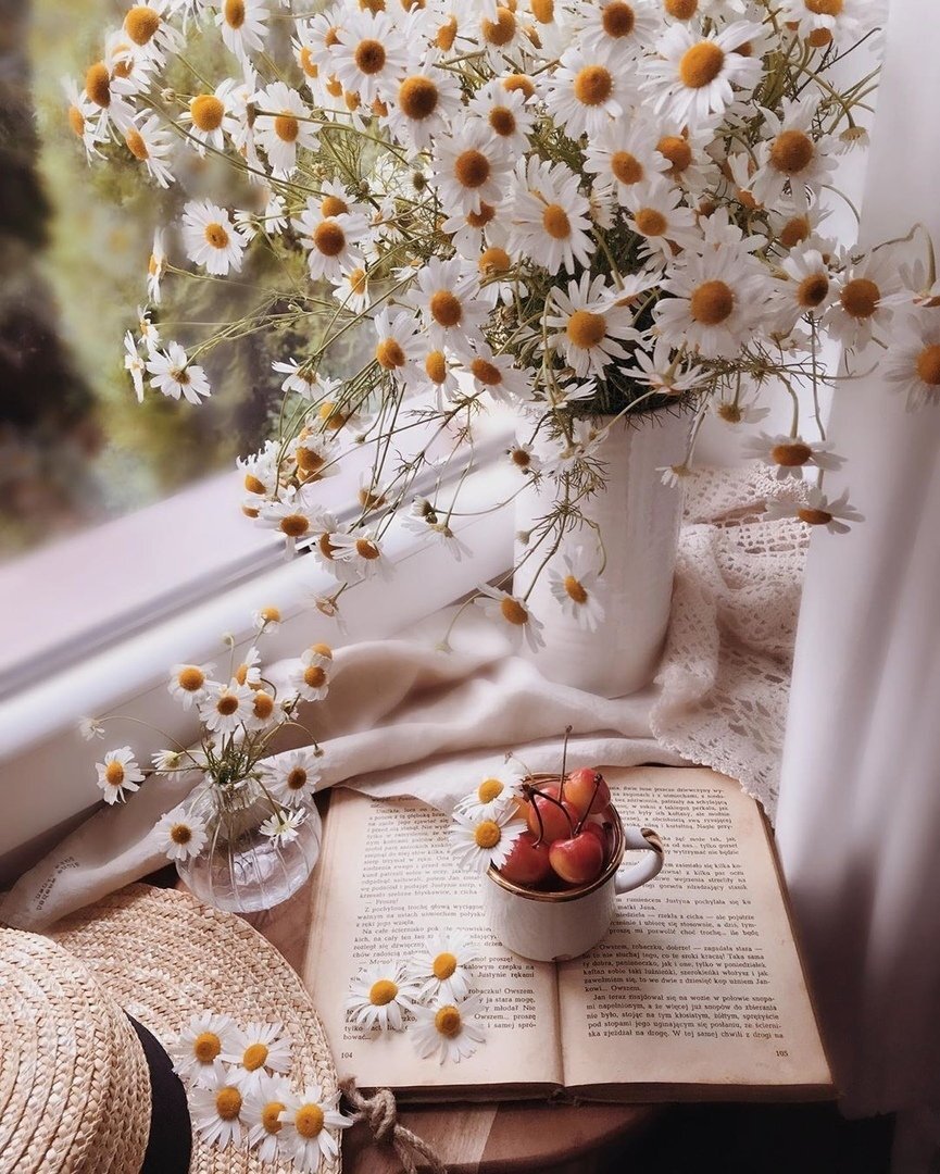 Изображение взято из интернета