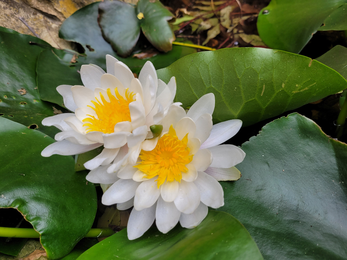 Фото автора!