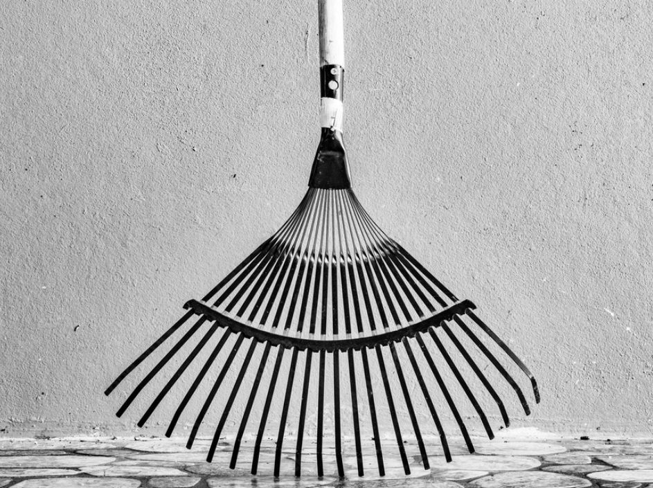 Фото из бесплатного источника