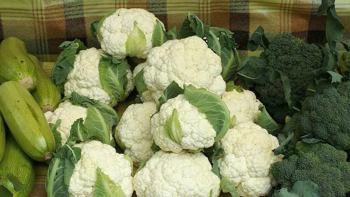    Цветная капуста© Globallookpress Victor Lisitsyn