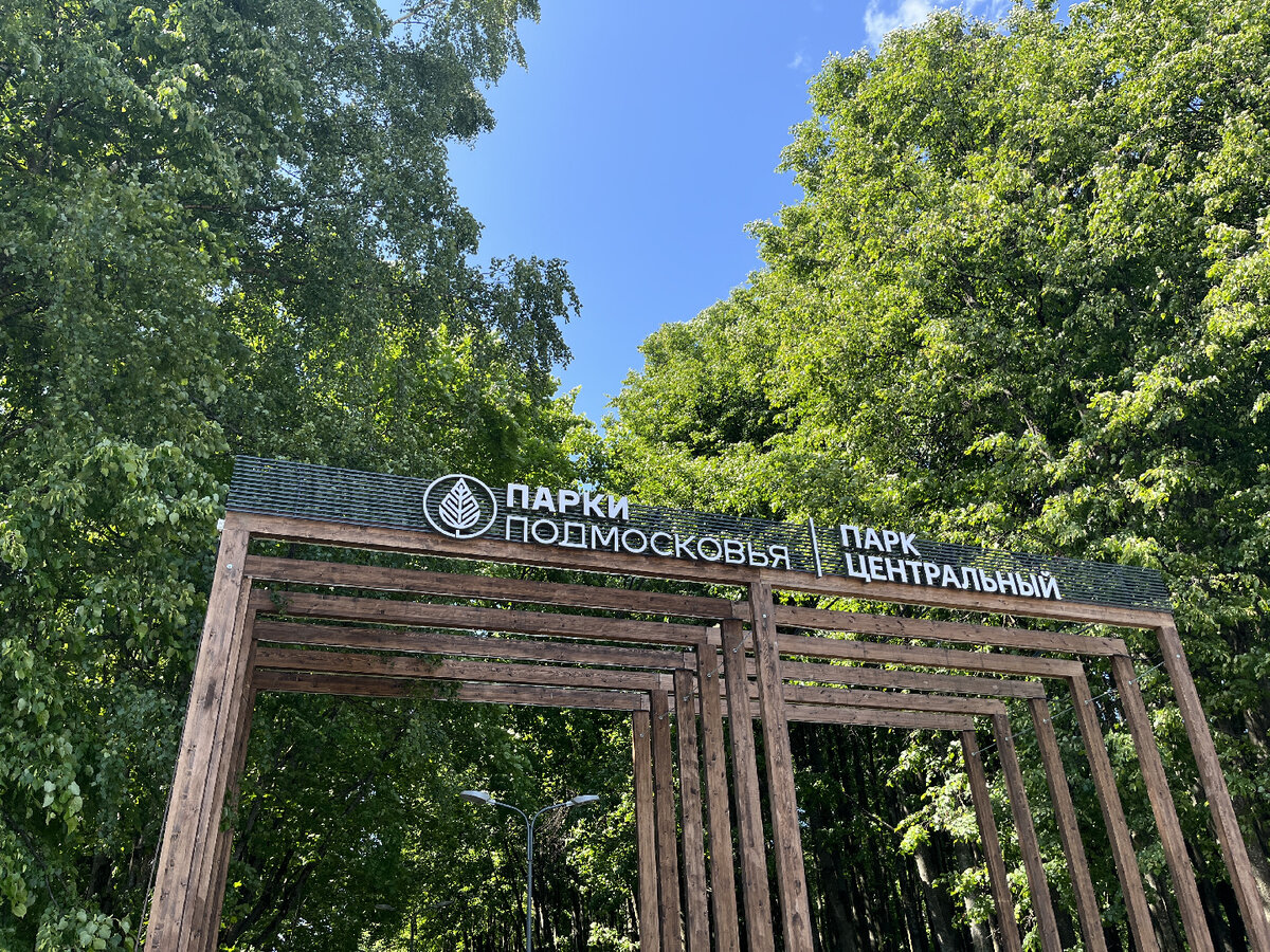Проект городского парка