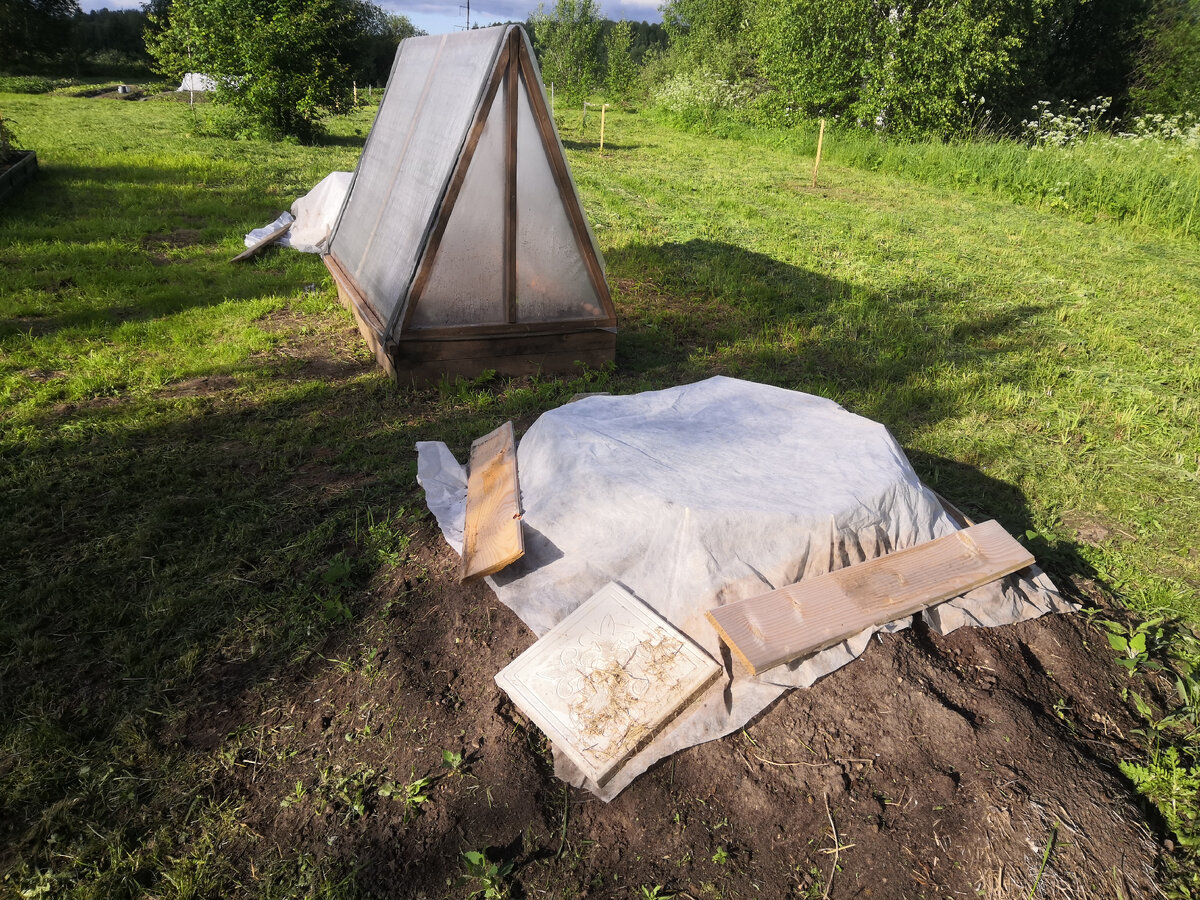 Кабачки спрятались