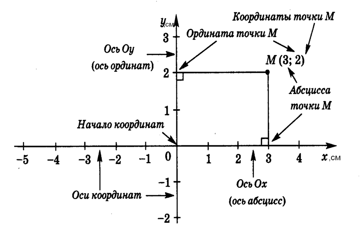 Найдите точки ординатой 3. Ось ординат и ось координат. Координаты Алгебра. Координаты оси ординат. Точка на оси ординат.