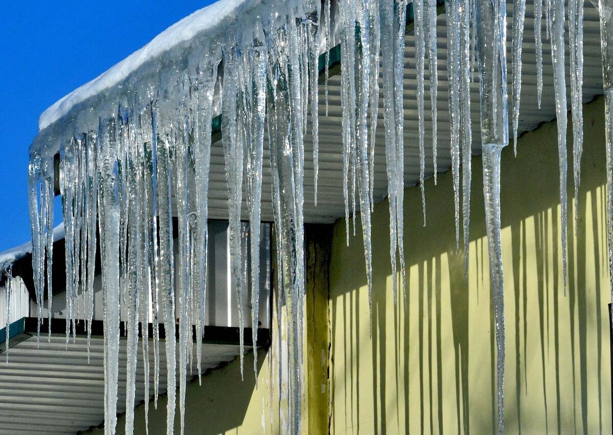 фотография взята в яндекс картинках