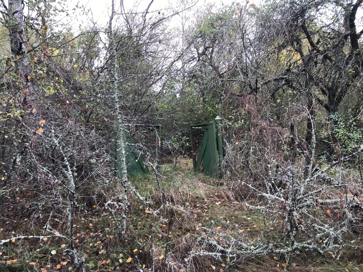 Зона отчуждения