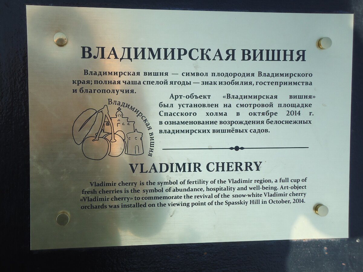 Информационная табличка рядом с памятником вишне