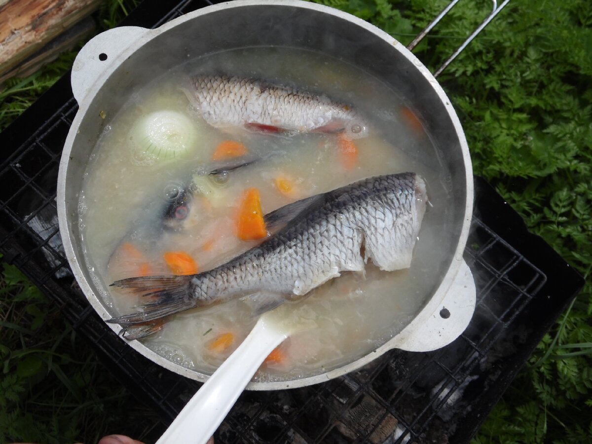 Уха с водкой на костре от Николая Романова | Вкусные,простые рецепты | Дзен