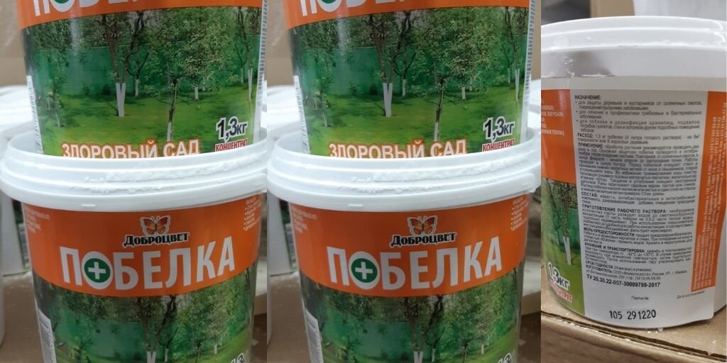 фото автора из магазина Светофор