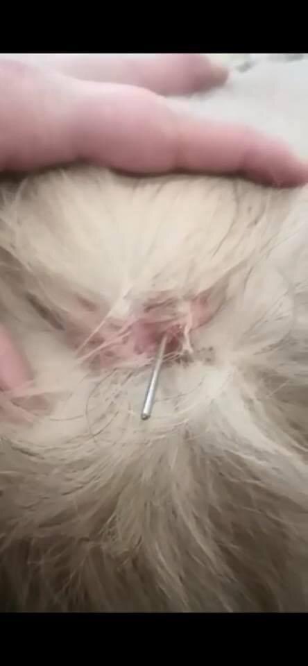 -2