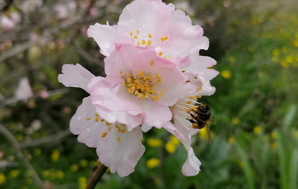 Фото сделано мной 