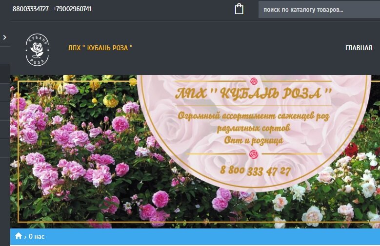 Питомник роз вдохновение тольятти каталог на весну 2024. Сайты питомников роз. Питомник роз элит. Розы кубани питомник роз каталог на весну. Шраб шато де вамаркус.