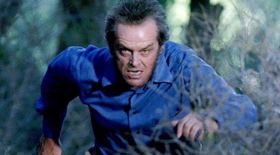 Кадр из к/ф «Волк»