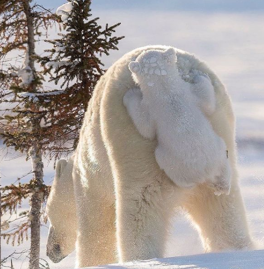 Источник фото @landscape_nightscape