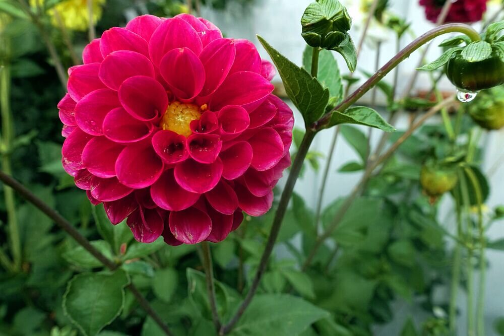 Листайте фото, их несколько