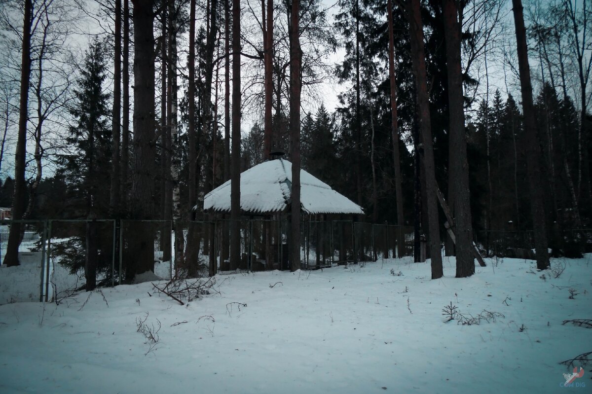 Территория заброшенного детского лагеря. 