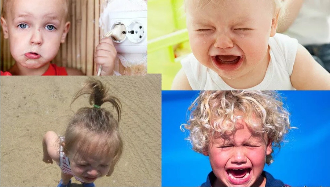 Фото взято из интернета. 