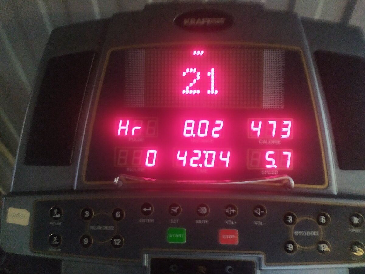 Трусцой бегаю, фото с телефона