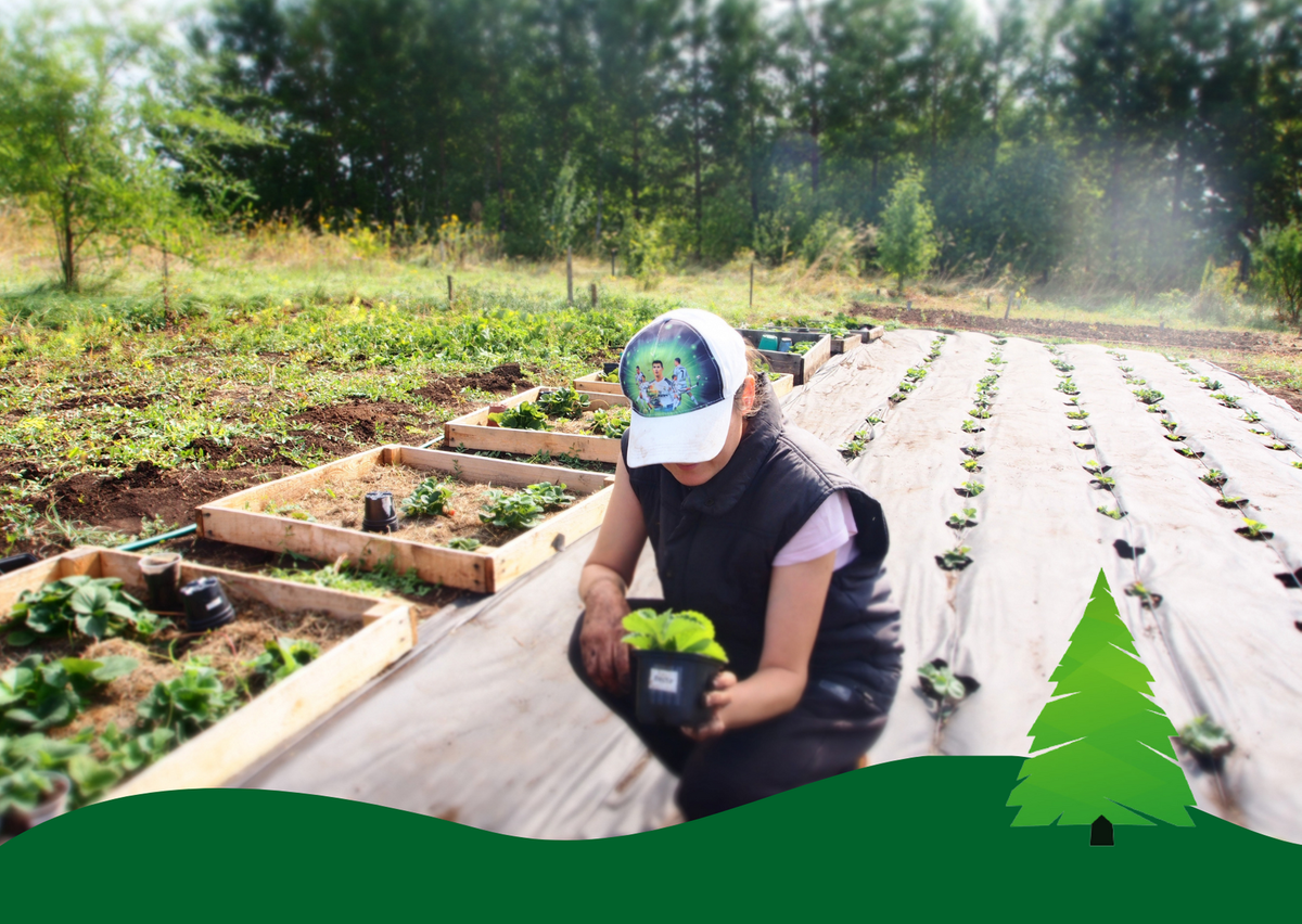 Лето 2020 года 