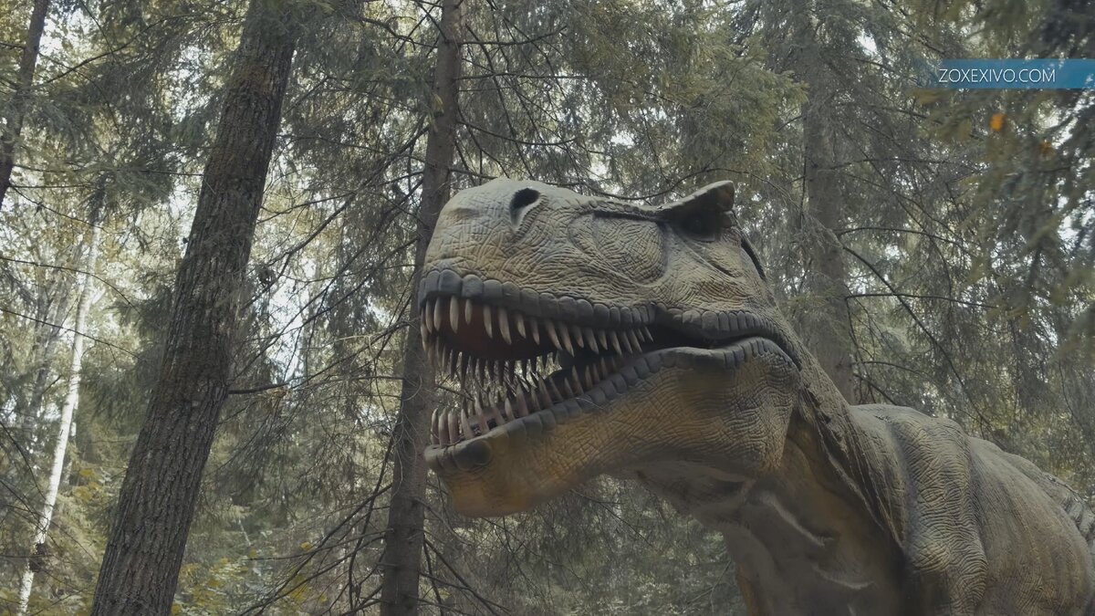 Парк Динозавров в Этномире