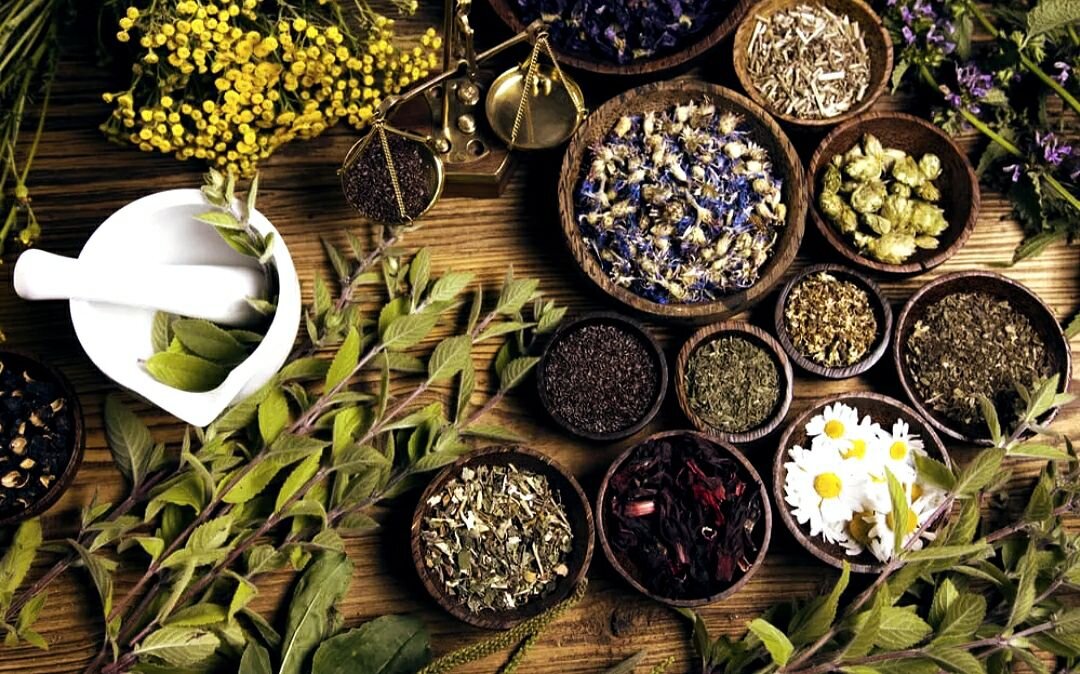 Из трав лучше всего справляются крапива, корень лопуха, одуванчик и клевер луговой