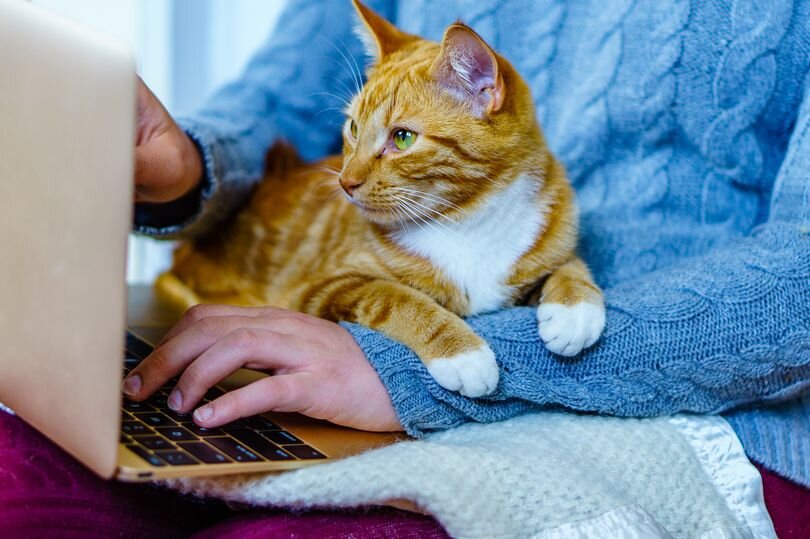 Источник Shutterstock