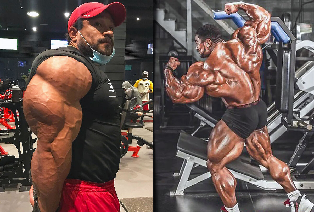 Roelly Winklaar бицепс