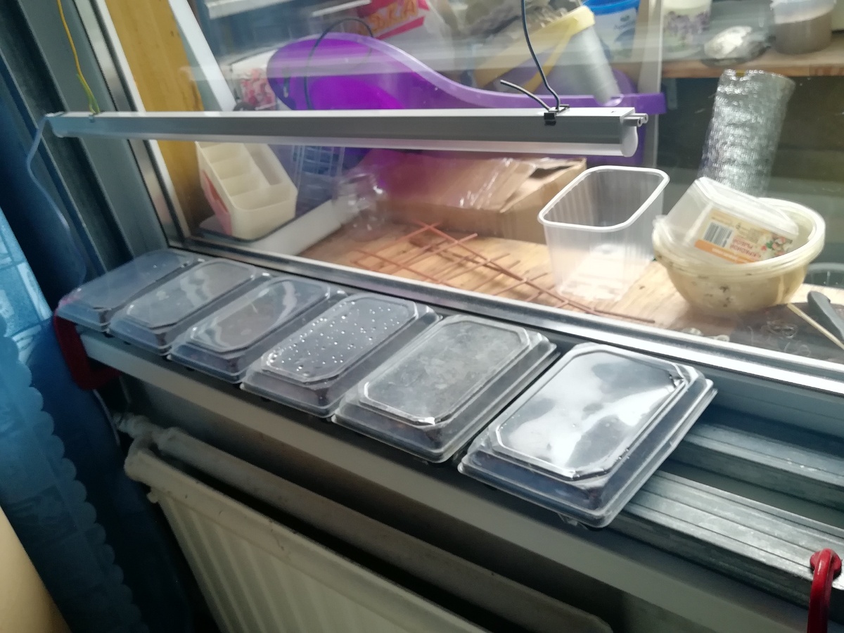 Минипарнички и лампа досвечивания.