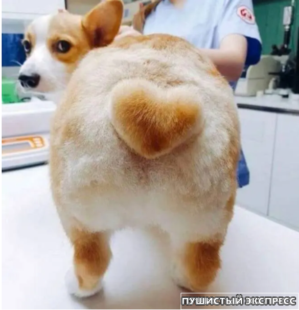 Источник: www.reddit.com