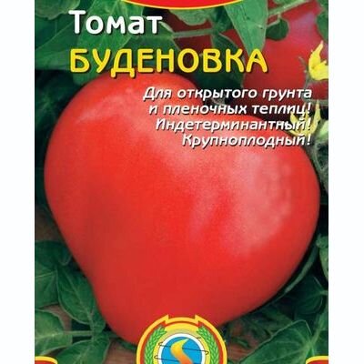 Рейтинг топ-15 лучших сортов томатов для открытого грунта по версии КП