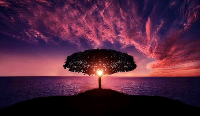 Фото с сайта Pixabay.com