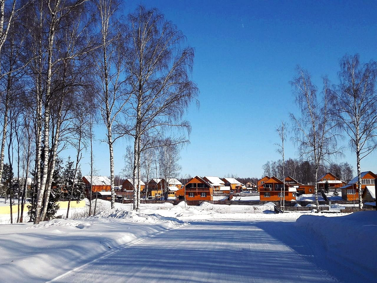 Заснеженный коттеджный посёлок Дарьино в морозное утро