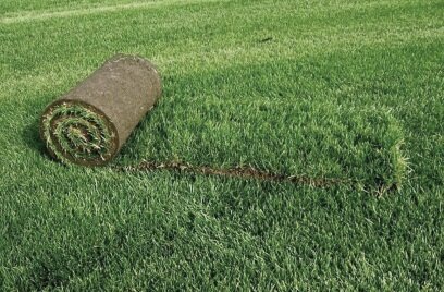 рулонный газон