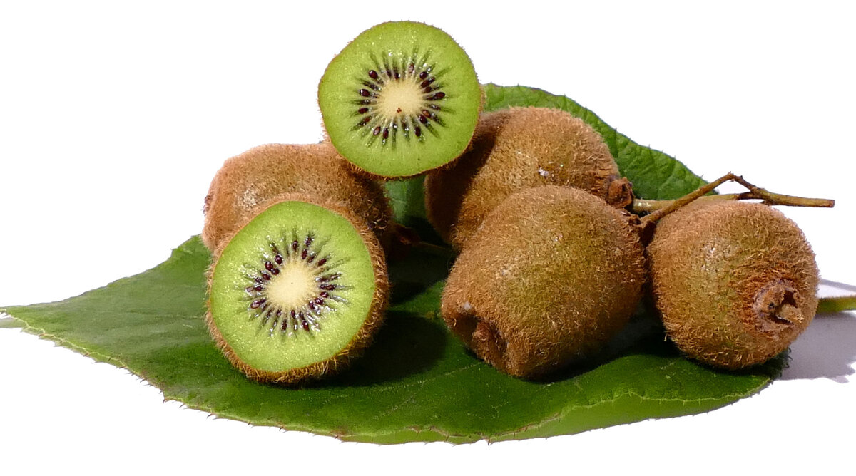 Kiwi punanii