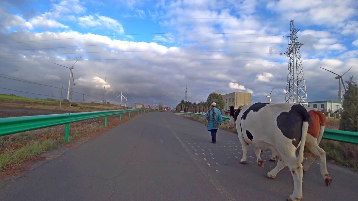 Деревенская жизнь