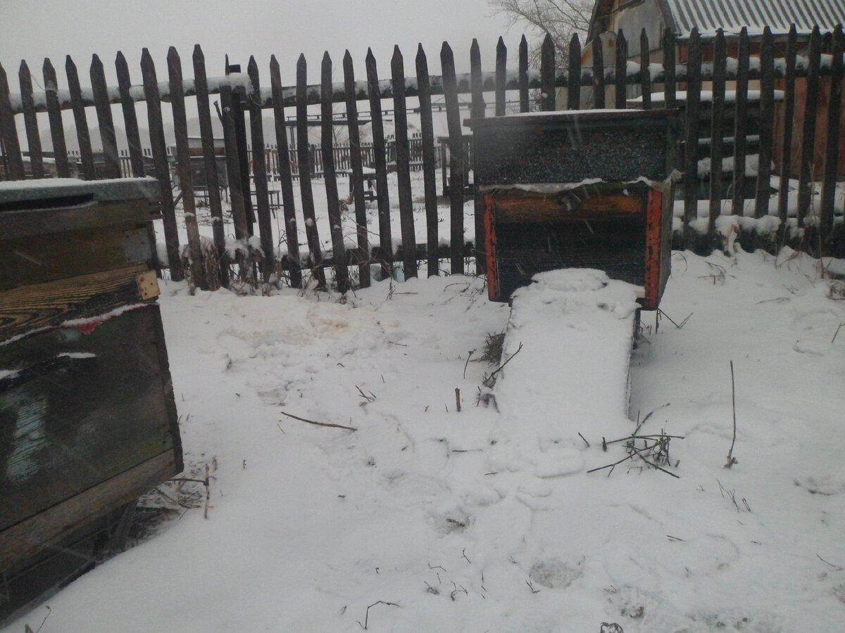 15 апреля 2019. Фото автора.