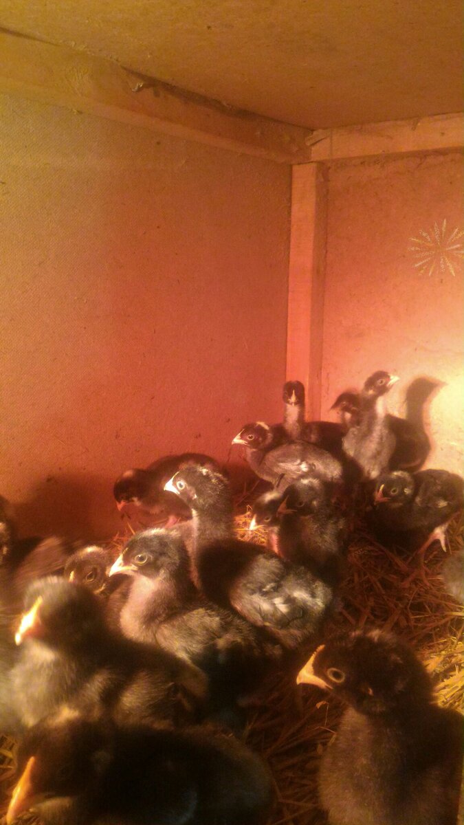 Фото из личного архива 