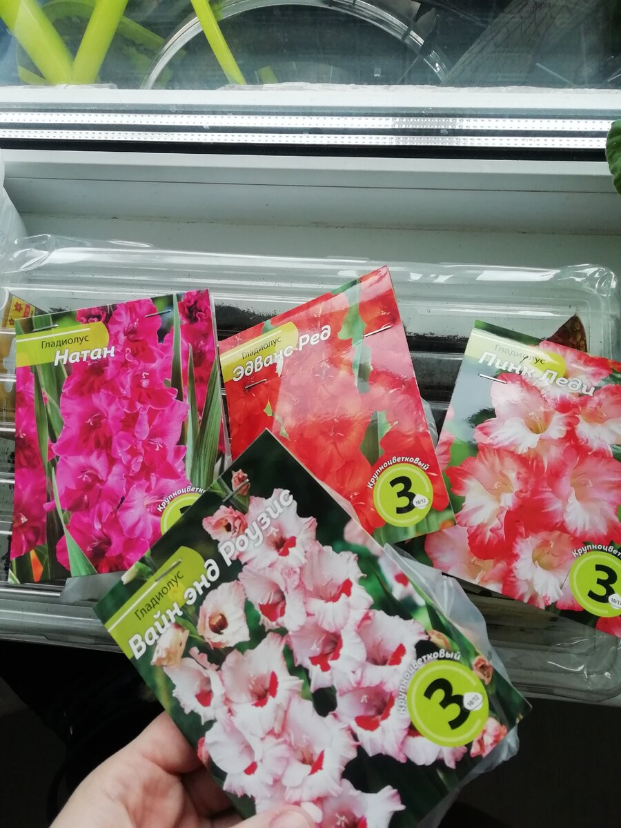 Вот такие красотульки