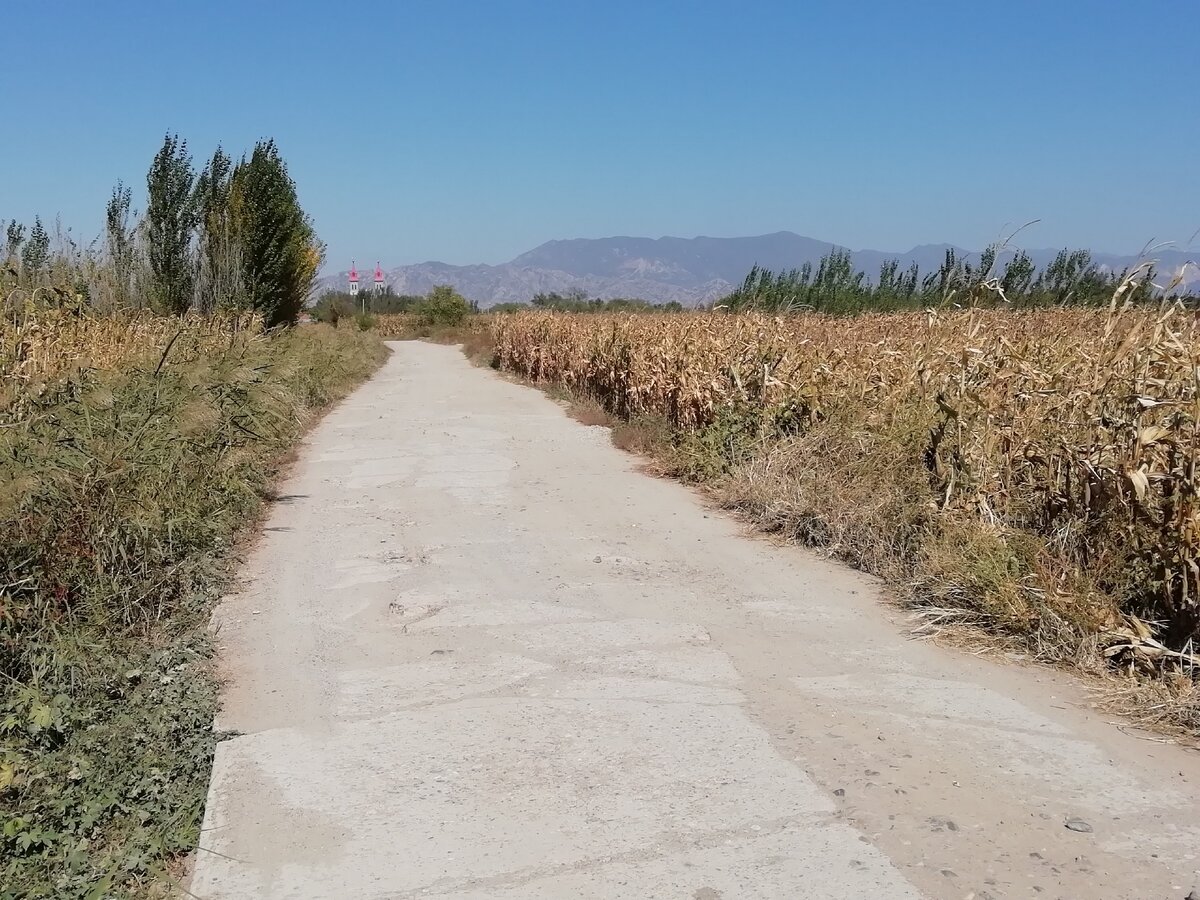 По таким дорогам вел навигатор