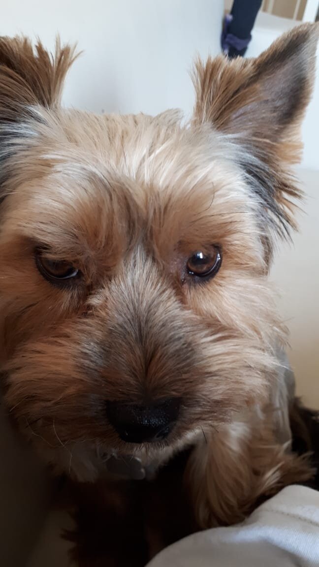 Главный герой сегодняшнего выпуска