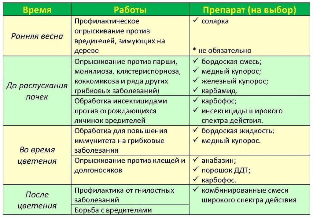 Этапы весенней обработки сада.