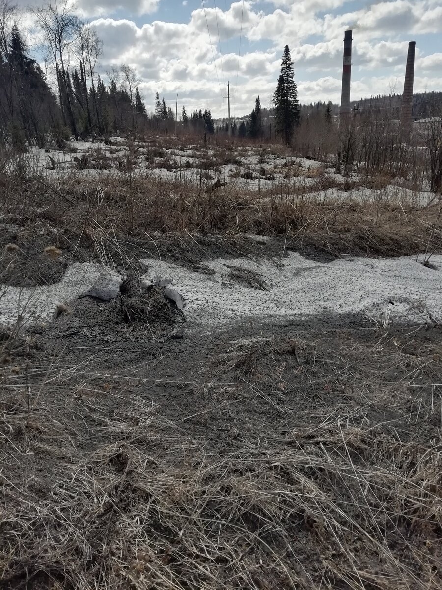 Пейзаж по пути на работу. Фото автора. 