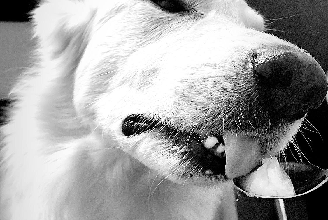 А еще оно очень нравится собакам :)