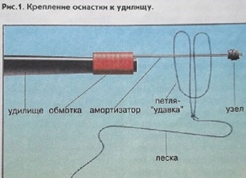 Порно с анной маховой порно видео