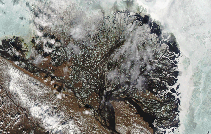 Ледоход на реке Лене. Источник: earthobservatory.nasa.gov