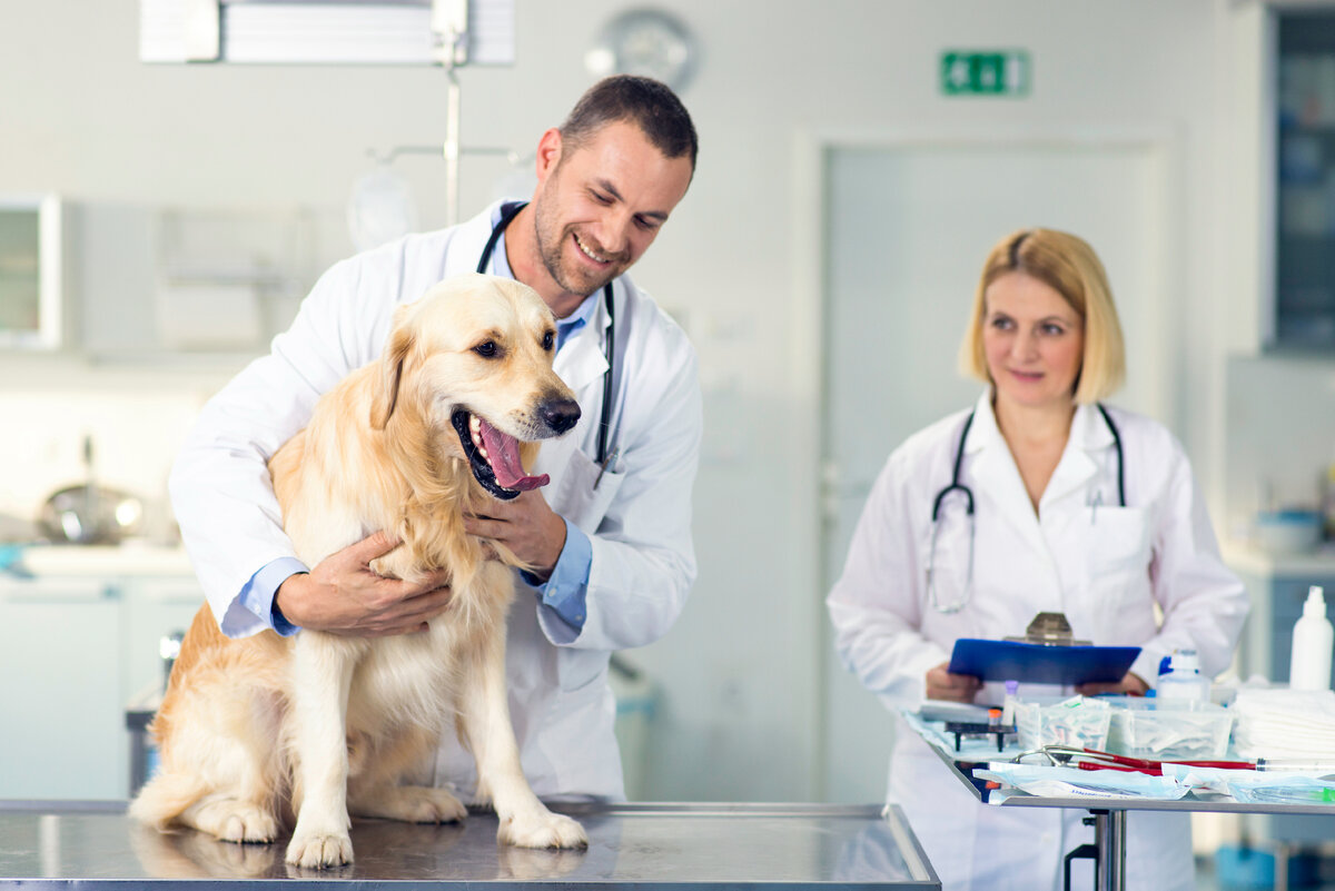 Veterinary medicine