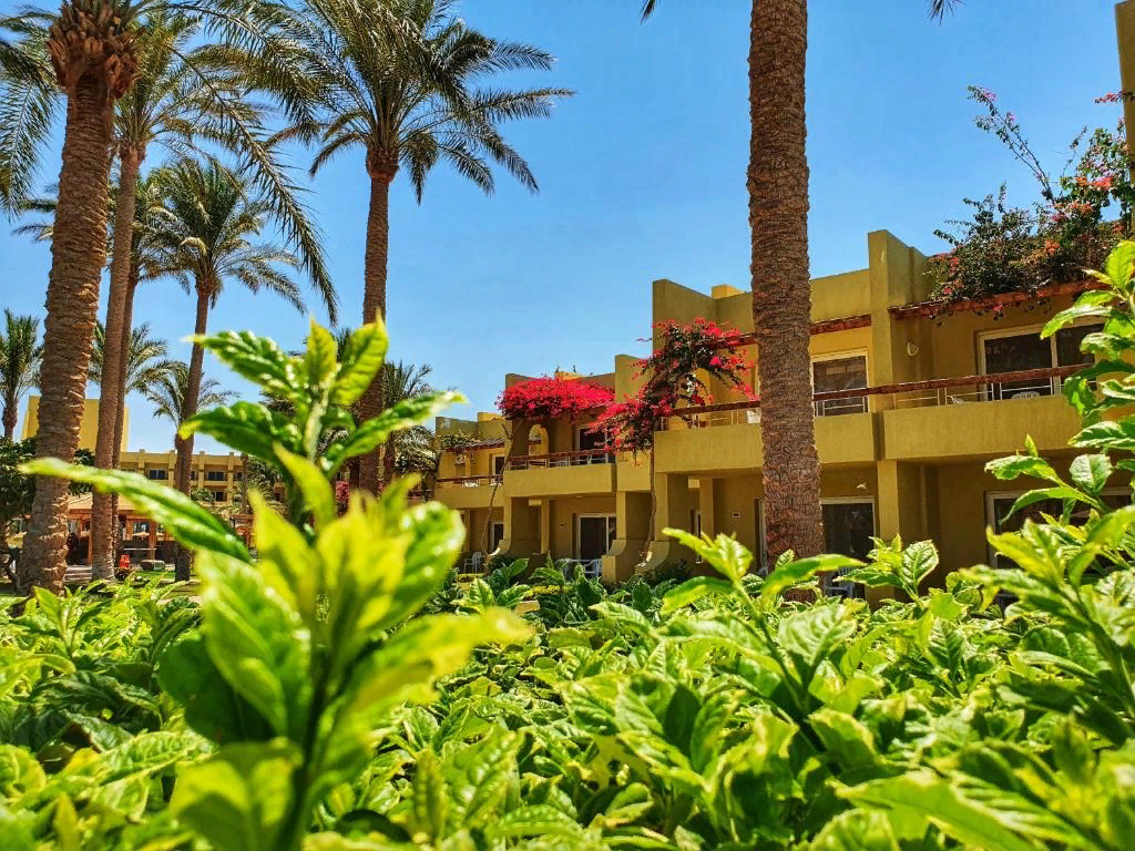 фото https://www.booking.com/hotel/eg/palm-beach-resort.ru.html?activeTab=photosGallery