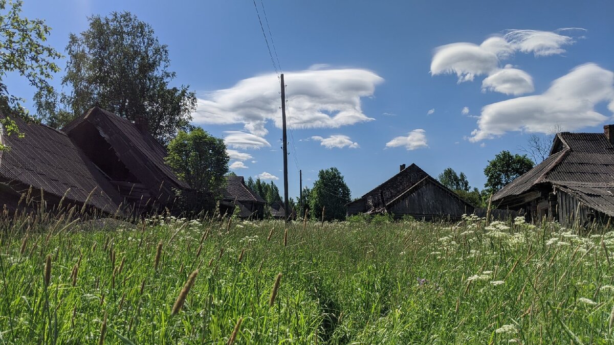 Здравствуй, дорогой читатель. В солнечный, июньский день мы совершили поход в заброшенную деревню. И даже в теплую, яркую погоду стало ужасно  тоскливо от того что мы увидели.