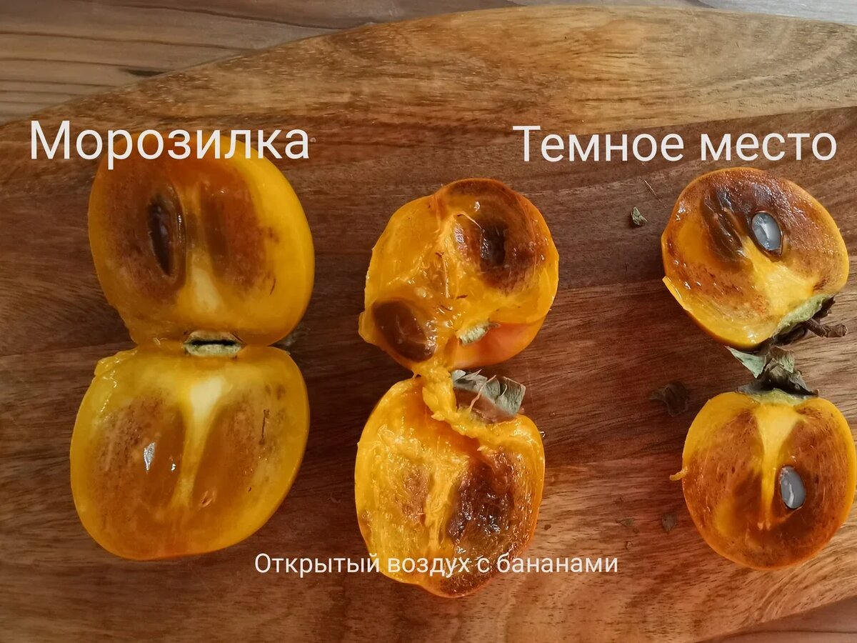 Хурма созрела. Недозревшая хурма. Persimmon.