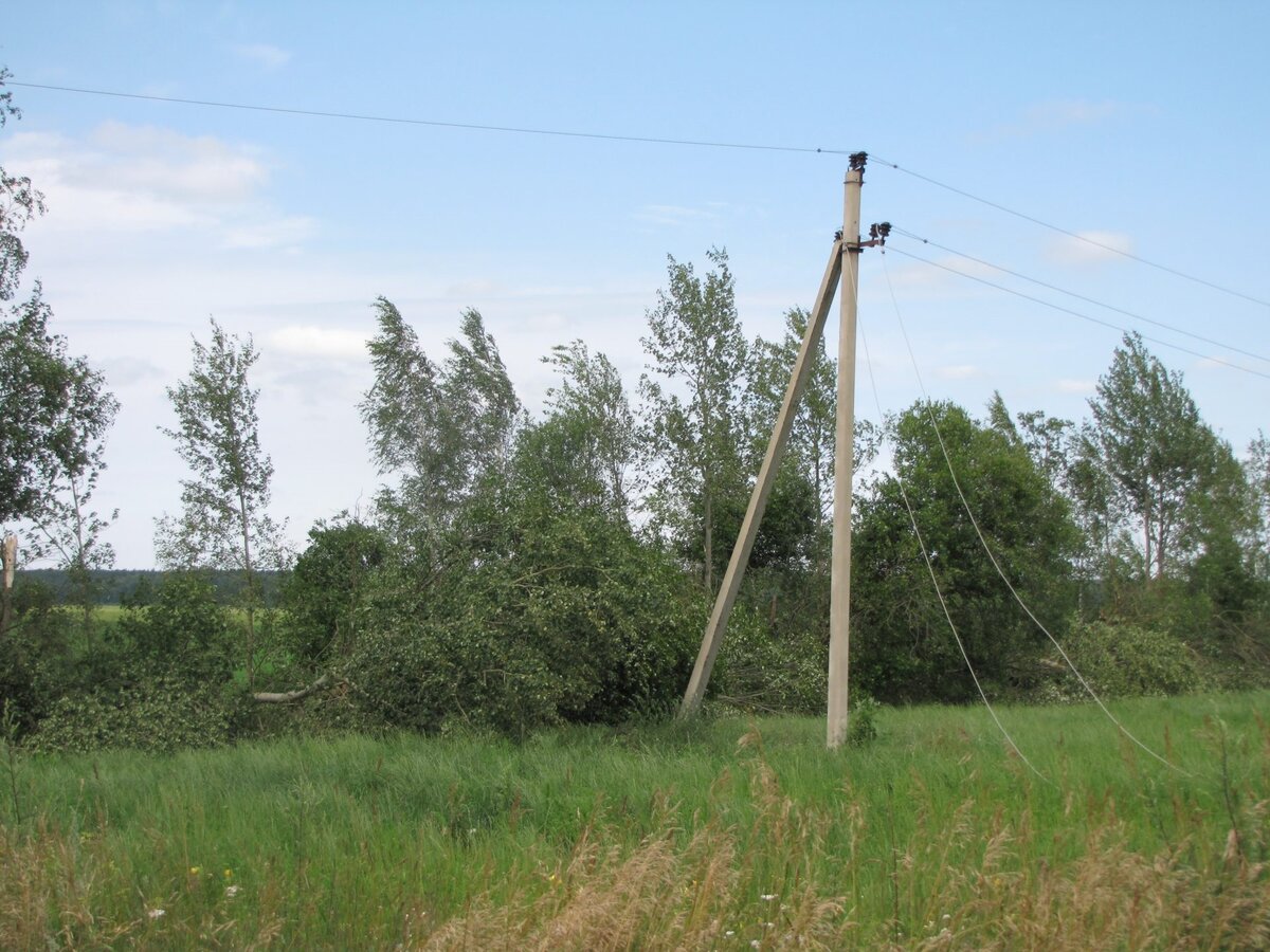 Рисунок 1. Обрыв ВЛ упавшим деревом