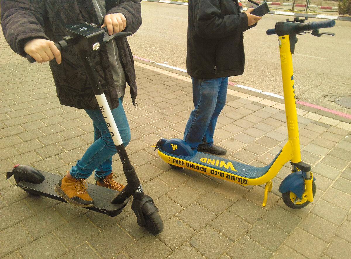 самокаты wind и bird